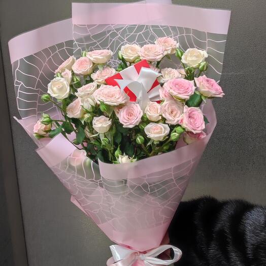 Rosa arbustiva