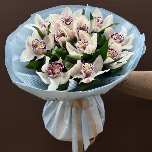 "White Orchid"