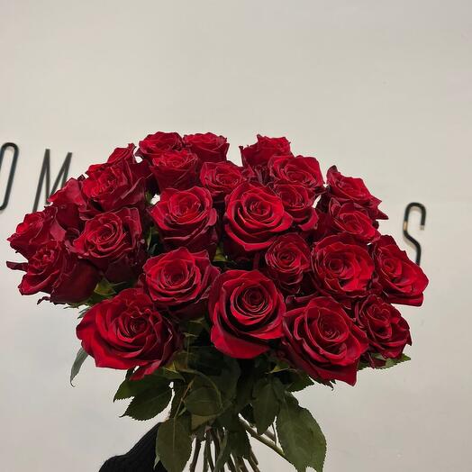 Rosas rojas