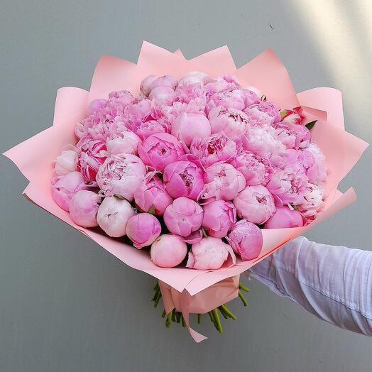 51 peonía rosa