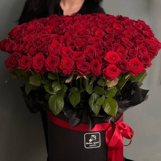 101 Roses 🌹
