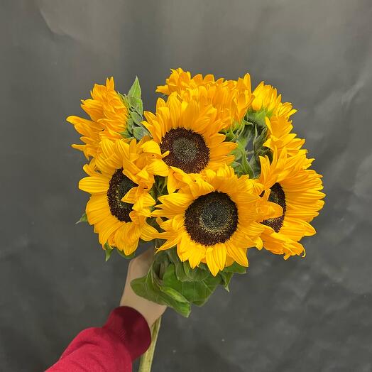 Букет из 9 подсолнухов 🌻