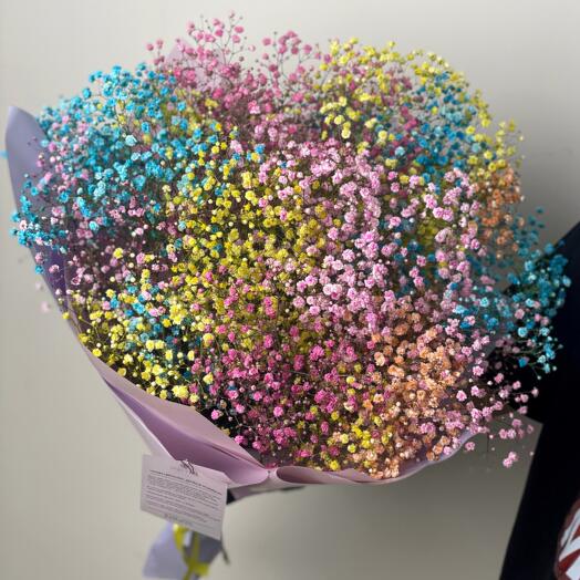 RAMO GIGANTE de Gypsophila Multicolor