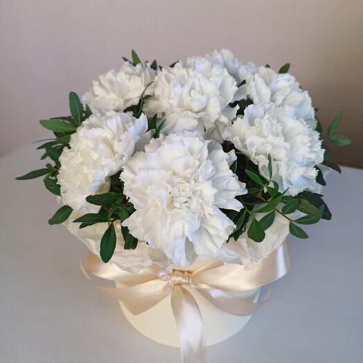 Dianthus blanco en Caja S