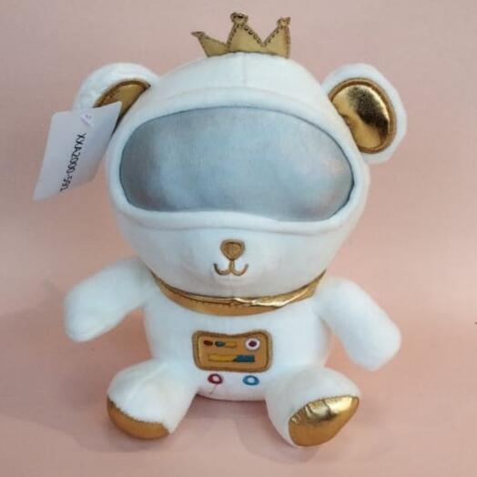 Мишка космонавт