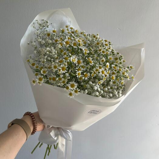 Моно-букет из матрикарии и гипсофилы