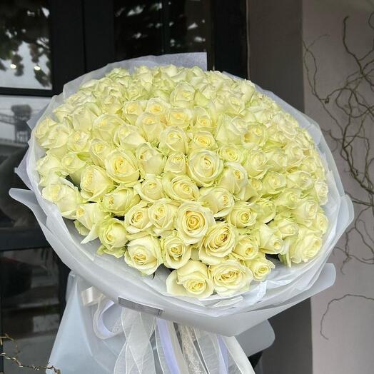 101 crema / blanco