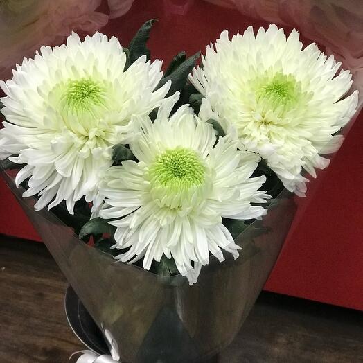 Bouquet of daisies
