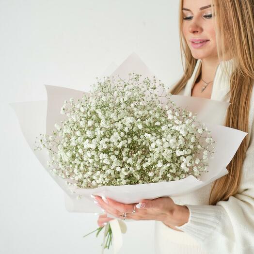 Bouquet of white gypsophila