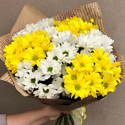Bouquet of white and yellow bush chrysanthemums