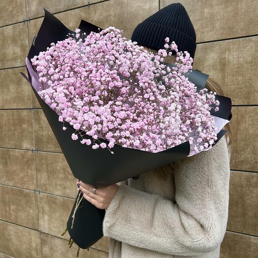 Bouquet of pink gypsophila
