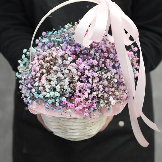 Gypsophila arcoíris en una cesta