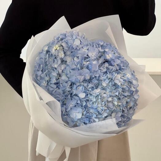 Bouquet of blue hydrangeas