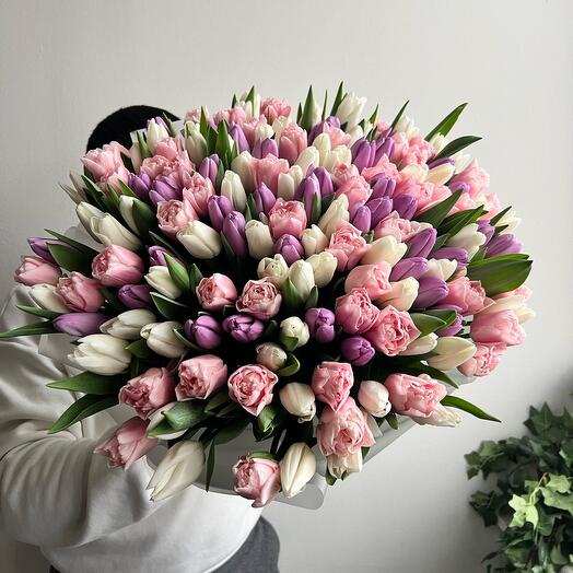 Peony-shaped tulips