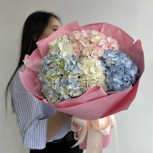 Букет из 5 гортензий