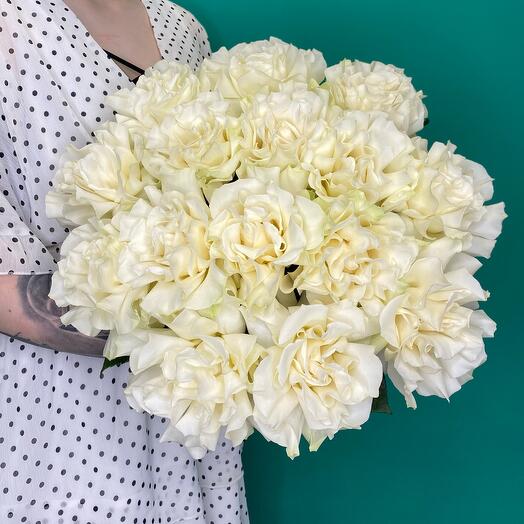 25 rosas Avalange