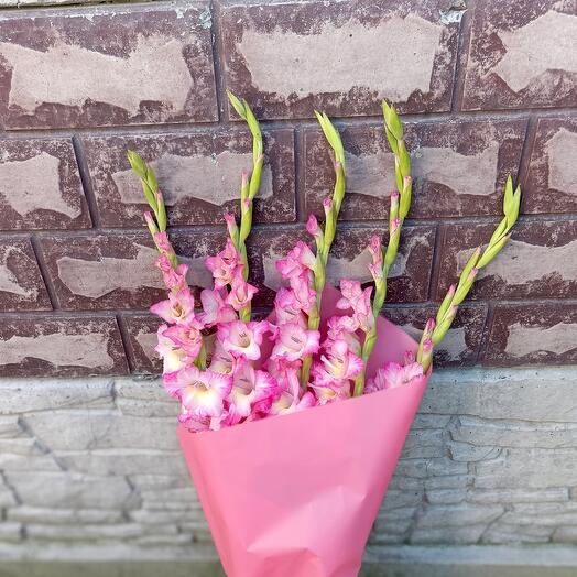 Нежные крымские гладиолусы