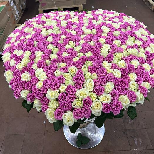 301 Roses in the Basket