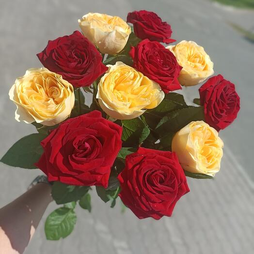 Роза пионовидная