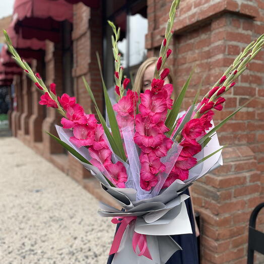 Pink gladioli
