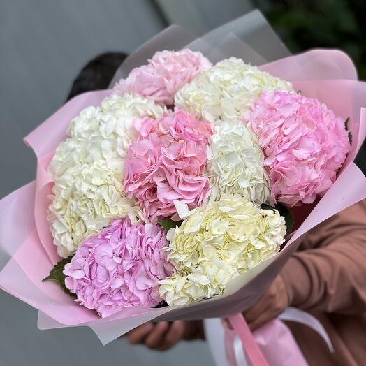 Hydrangea mix
