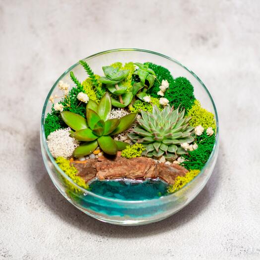 Флорариум S Полусфера. Зеленый оазис