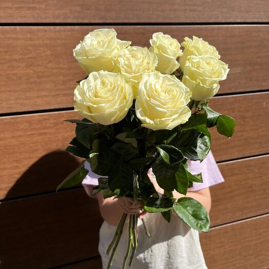 Роза эквадор 60см
