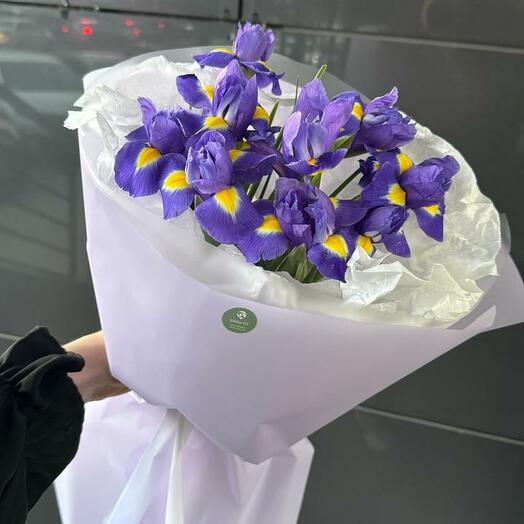 Моно букет 9 ирисов