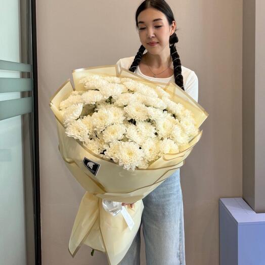 Хризантема Style 11