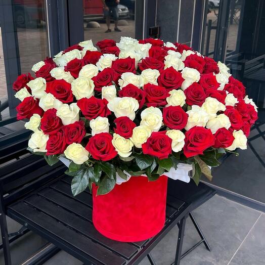 White and red rose in box