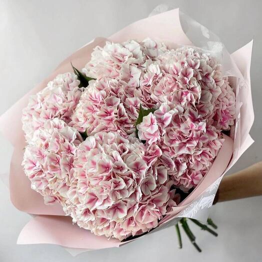 Bouquet of delicate hydrangeas