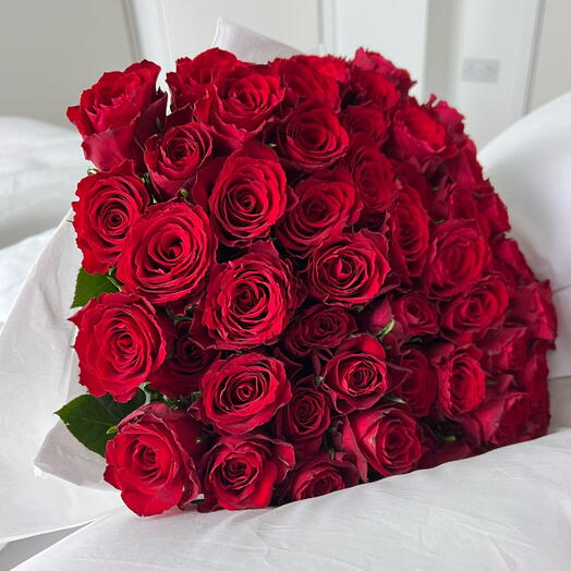 Classic Red Roses