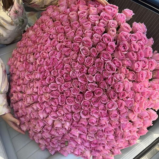 Pembe rosa