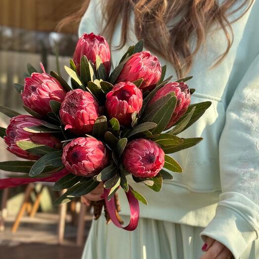 Моно букет из протеи