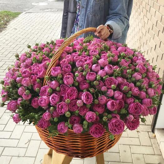 Flower basket 101 Bush Roses