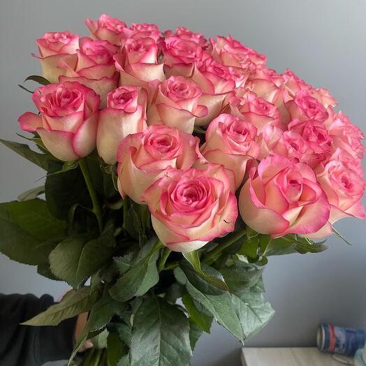 Розовые розы  35