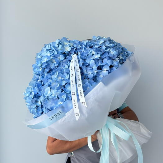 Hydrangea Sea Blue