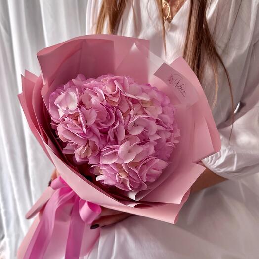 Гортензия розовая в дизайнерской упаковке