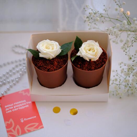 Торт в шоколадном горшочке для мамы на День Матери