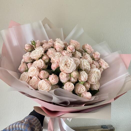 Bush roses 9