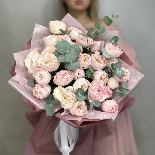 Пионовидные Розы Mansfield Park в розовом цвете