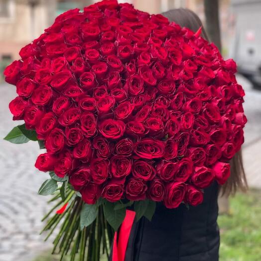 151 метровая роза