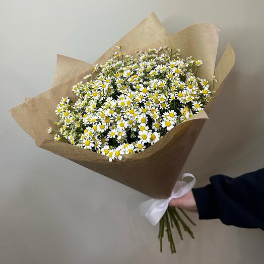 Весенний букет ромашек