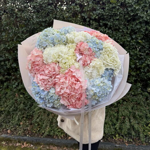 Wonderful Hydrangeas Cloud