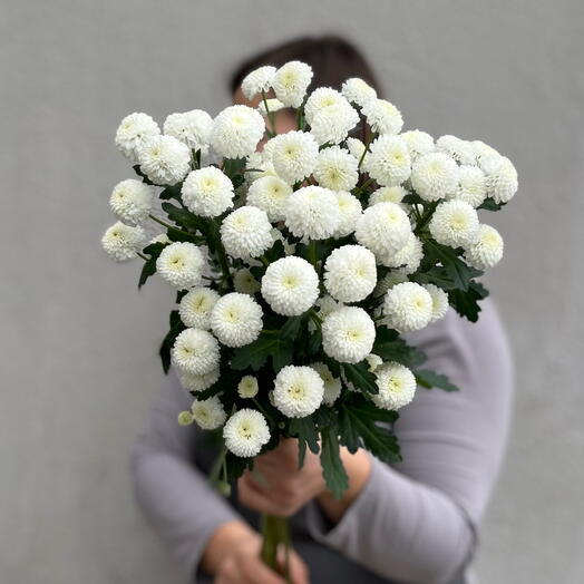 Моно букет из 5 кустовых хризантем ньютон