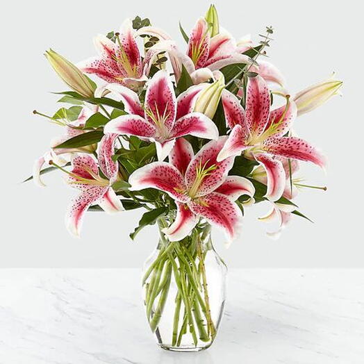 Stargazer pink Lilies in Vase