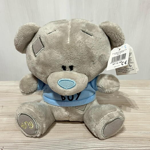 Me to you cute teddy bear for boy