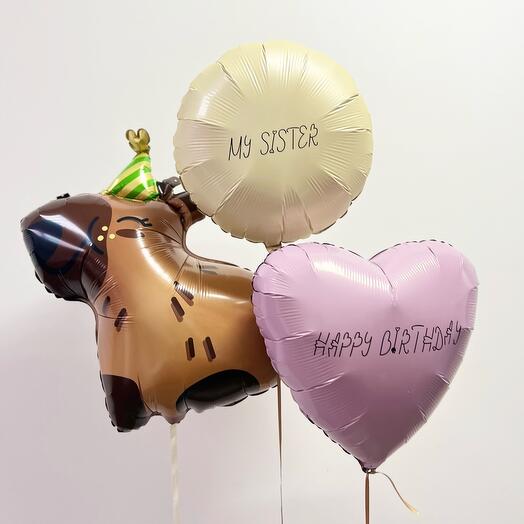 Capybara balloons for sister
