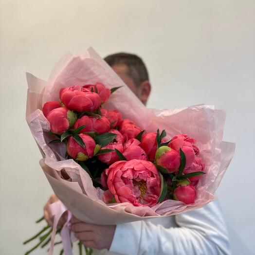Пионы коралловые (17 шт)