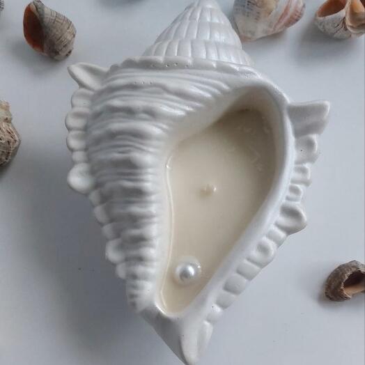 Свеча ракушка большая